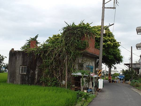 霄裡陽光鐵馬道 (295).jpg