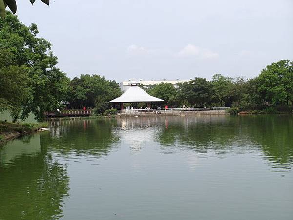 八德埤塘生態公園 (77).JPG