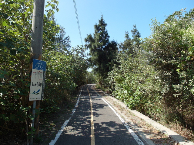 竹南綠光海風自行車道 (20).JPG