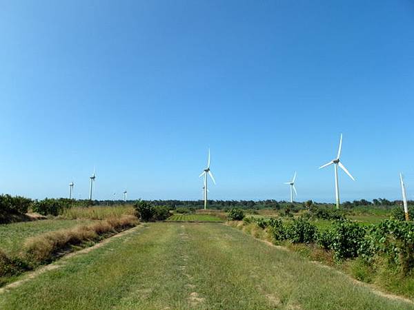 後龍綠光海風自行車道 (11).JPG