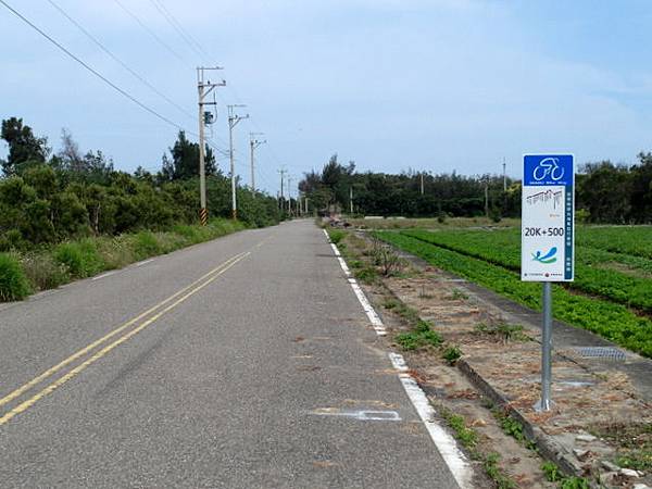 後龍綠光海風自行車道 (106).JPG