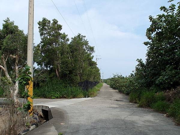 後龍綠光海風自行車道 (107).JPG