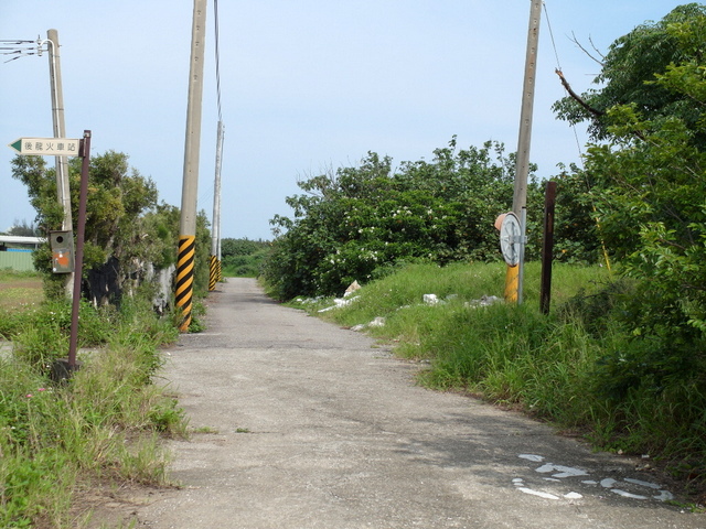 後龍綠光海風自行車道 (108).JPG