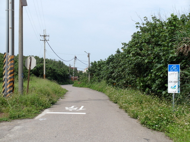 後龍綠光海風自行車道 (116).JPG