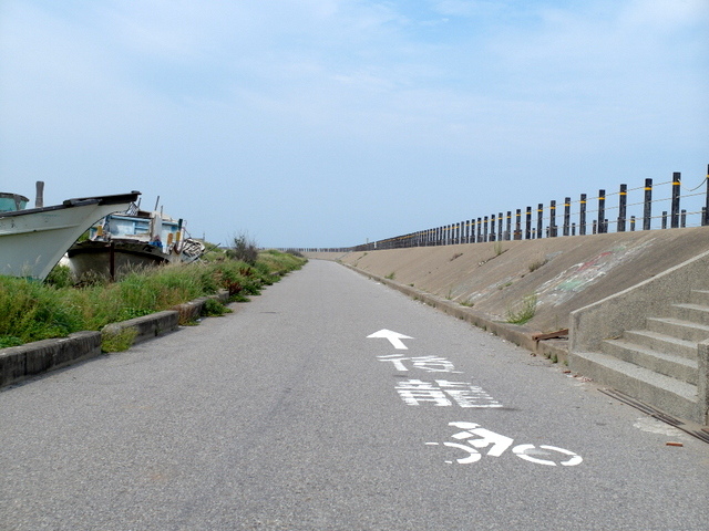 後龍綠光海風自行車道 (155).JPG