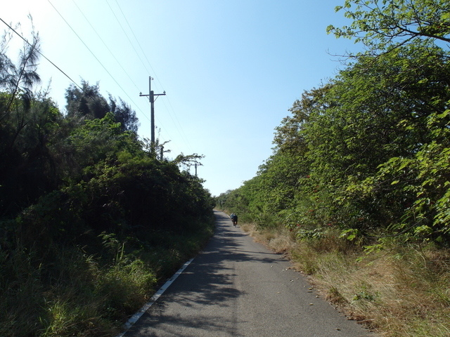 後龍綠光海風自行車道 (225).JPG