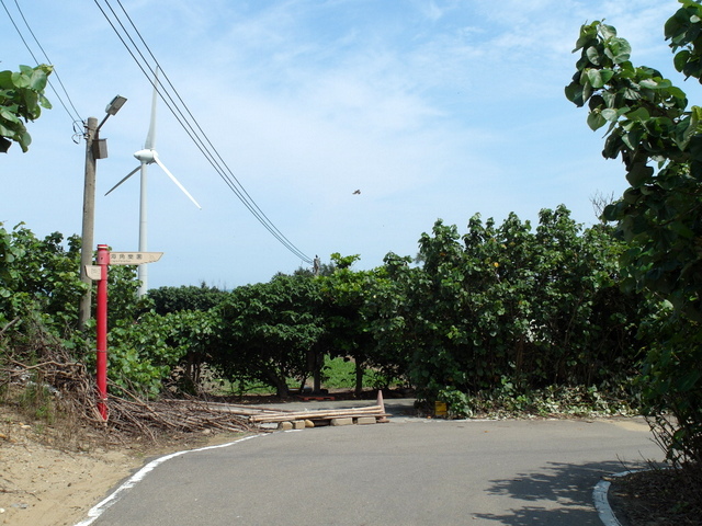 後龍綠光海風自行車道 (277).JPG