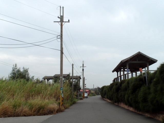 通霄綠光海風自行車道 (31).JPG