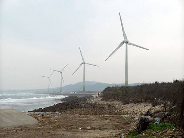 通霄綠光海風自行車道 (133).JPG