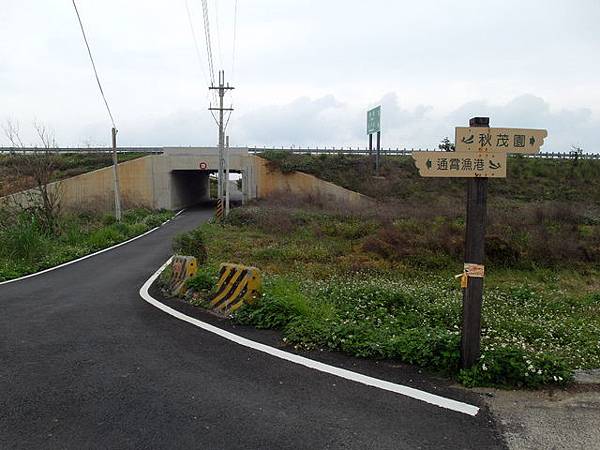 通霄綠光海風自行車道 (141).JPG