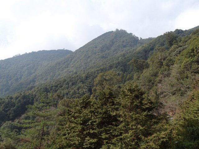 屋我尾山 (83).JPG