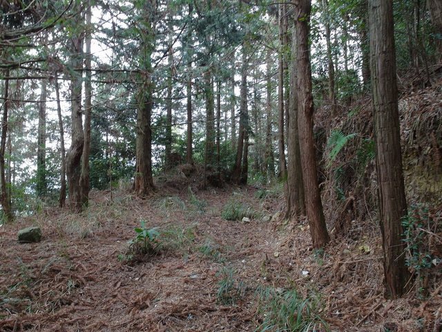 屋我尾山北峰 (3).JPG