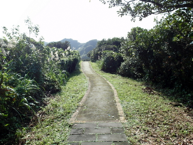 容軒步道 (41).JPG