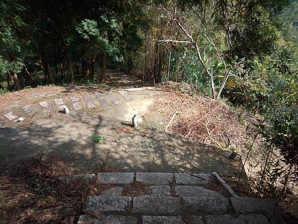 大分林山 (53).jpg