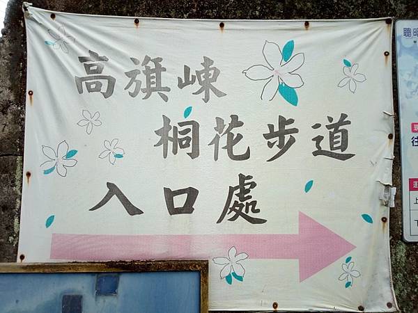 大分林山 (68).jpg