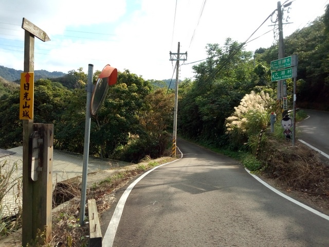 大分林山 (113).jpg