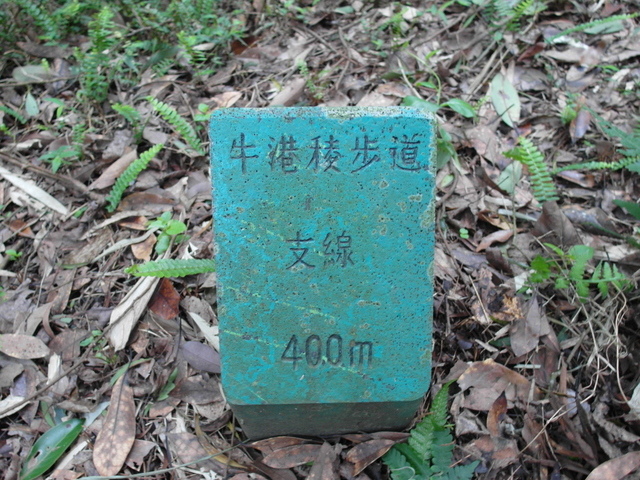 牛港稜 (248).JPG