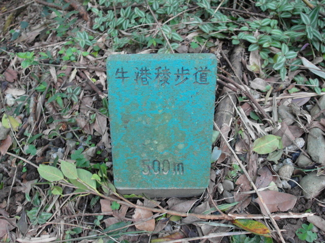 牛港稜 (261).JPG