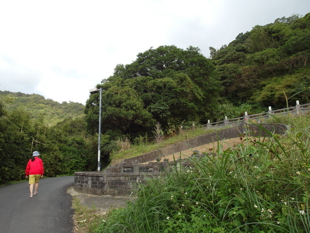 楓樹湖步道 (18).jpg