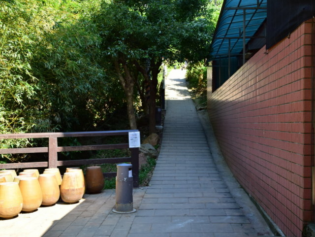 楓樹湖步道 (132).jpg