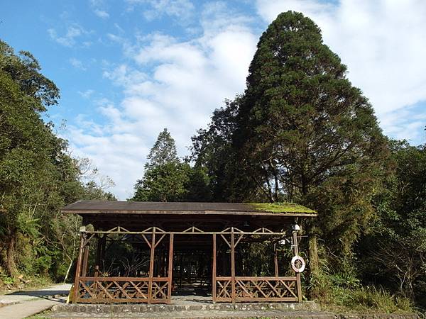 福山植物園 (171).JPG