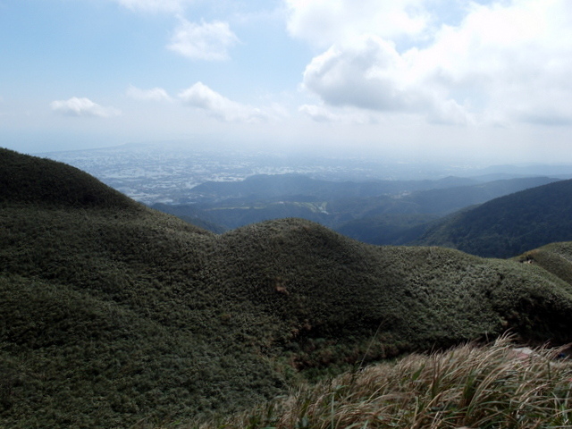 抹茶山 (178).jpg