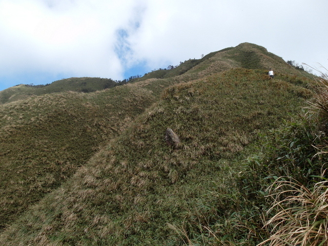 抹茶山 (175).jpg