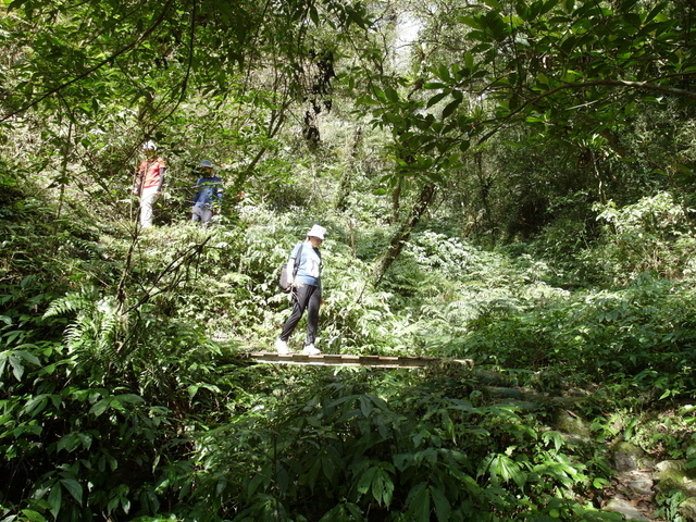 抹茶山 (226).jpg