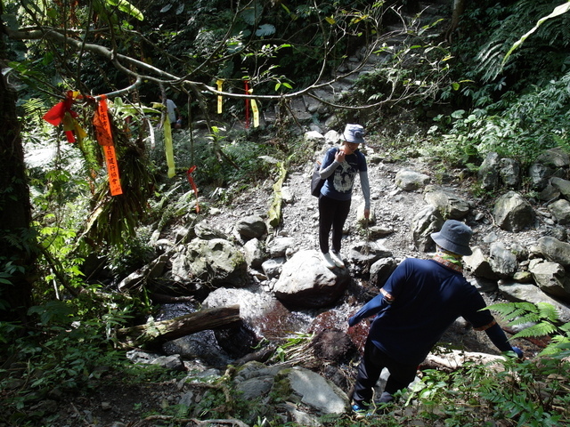 抹茶山 (234).jpg