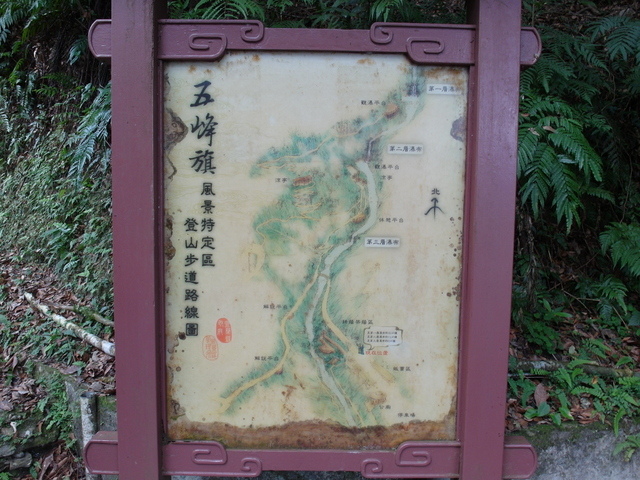 抹茶山 (287).jpg