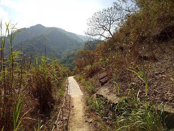 峭壁雄風 (102).jpg