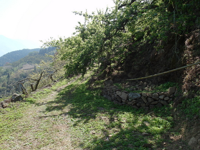 風櫃斗山 (55).JPG