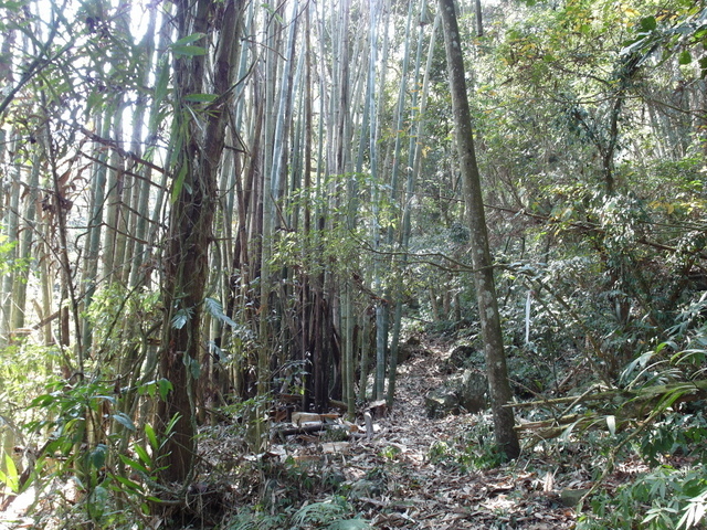 風櫃斗山 (77).JPG