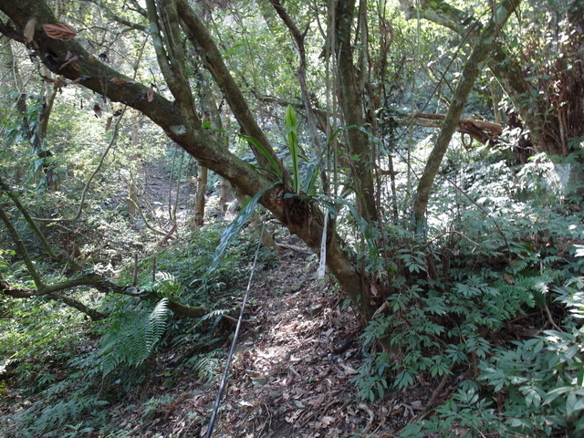 風櫃斗山 (87).JPG