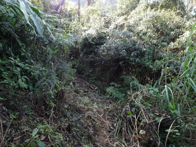 風櫃斗山 (99).JPG