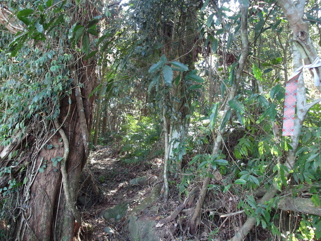 風櫃斗山 (103).JPG