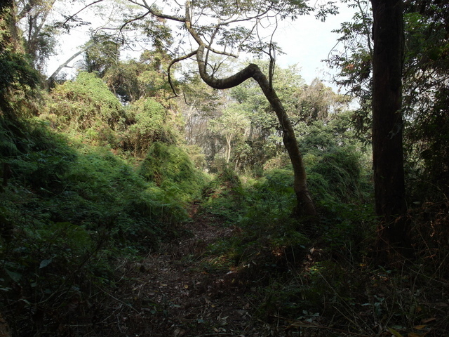 風櫃斗山 (155).JPG