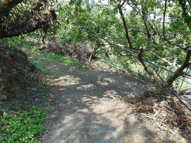 風櫃斗山 (170).JPG