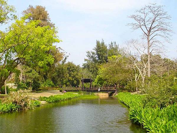 金門植物園 (3).jpg