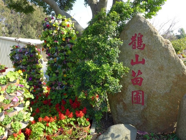 金門植物園 (7).jpg