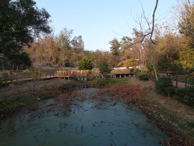 金門植物園 (24).jpg