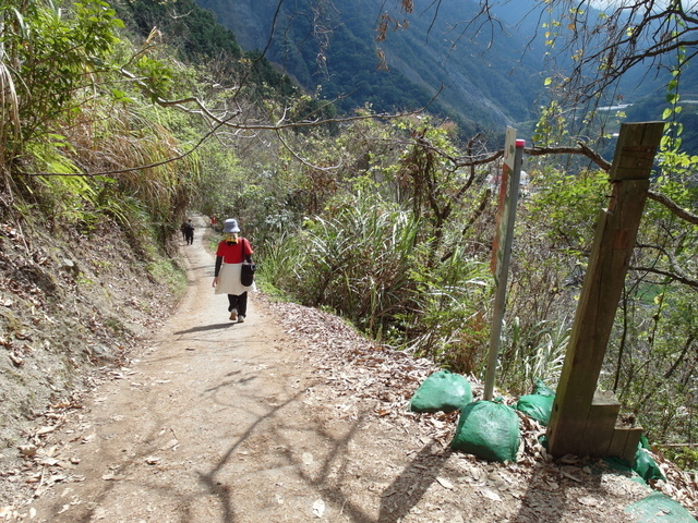 八通關古道 (290).JPG