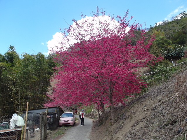 八通關古道 (297).JPG