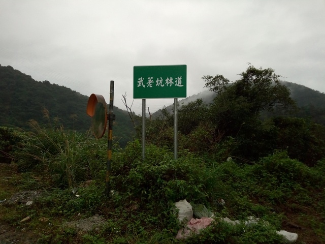 武荖坑林道 (1).jpg