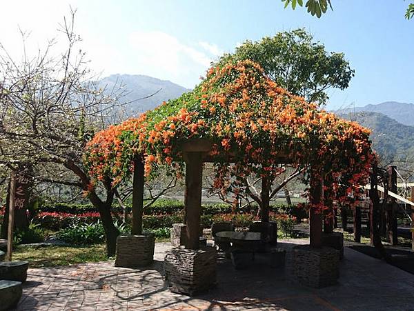 梅子夢工廠 (34).jpg