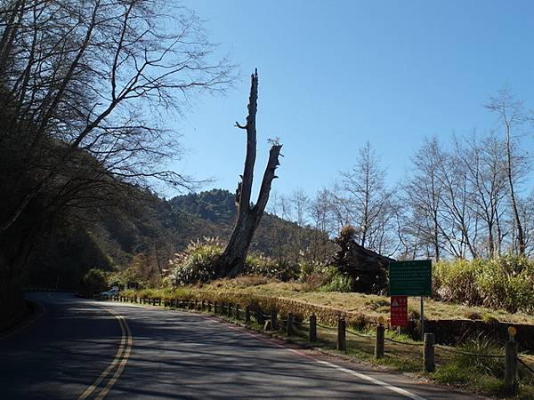 新中橫公路 (37).jpg