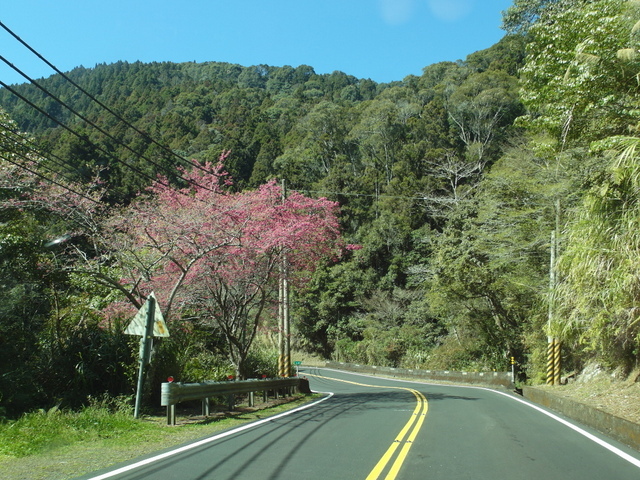 新中橫公路 (54).jpg