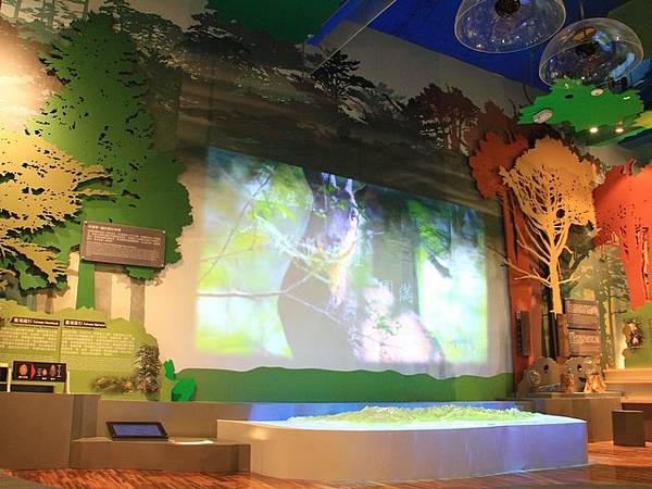 新中橫公路 (71).jpg