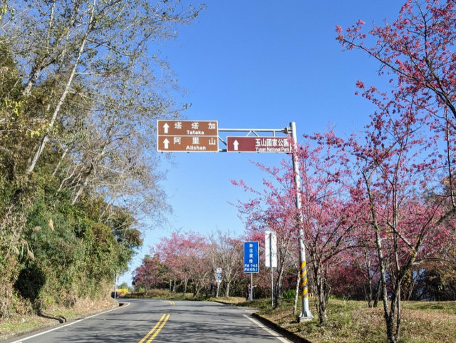 新中橫公路 (80).jpg