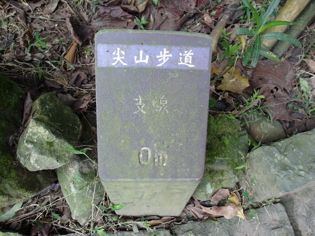 北橫 (187).JPG